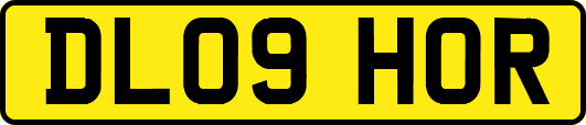 DL09HOR