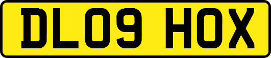 DL09HOX