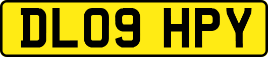 DL09HPY