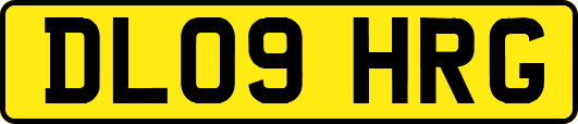 DL09HRG
