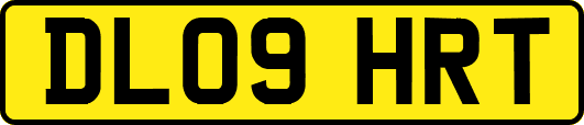 DL09HRT