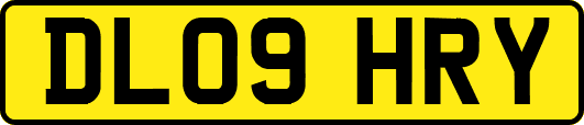 DL09HRY