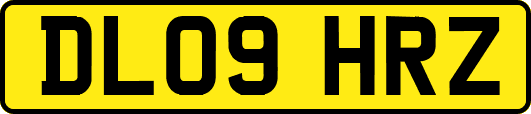 DL09HRZ