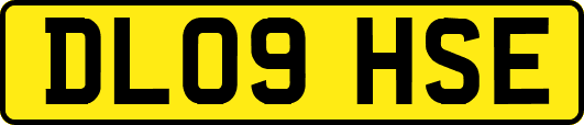DL09HSE