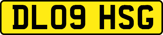 DL09HSG