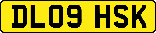 DL09HSK