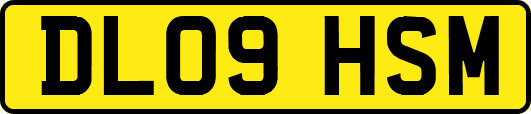 DL09HSM