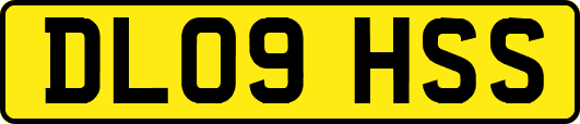 DL09HSS