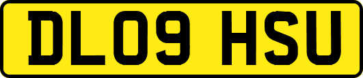 DL09HSU