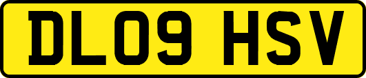 DL09HSV
