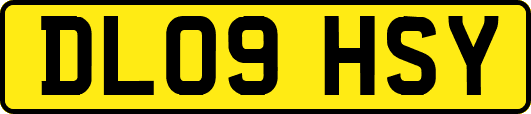 DL09HSY