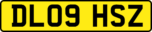 DL09HSZ