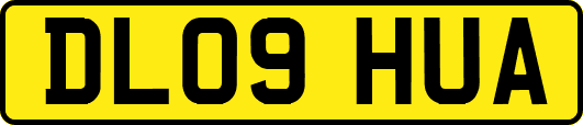 DL09HUA