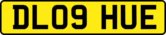 DL09HUE