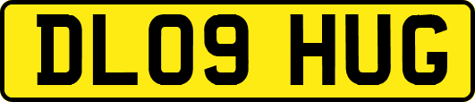 DL09HUG