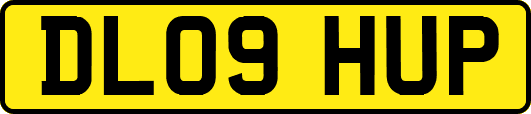 DL09HUP