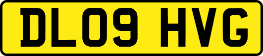 DL09HVG
