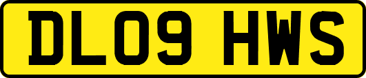 DL09HWS