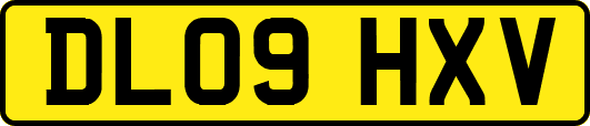 DL09HXV