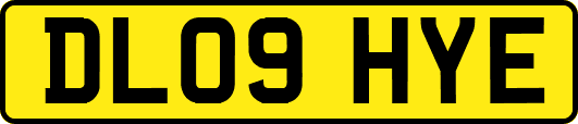 DL09HYE