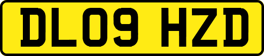 DL09HZD