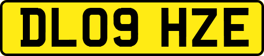 DL09HZE