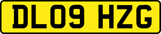 DL09HZG