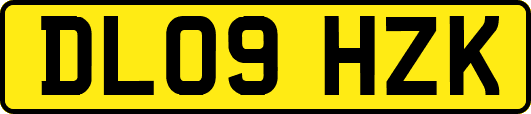 DL09HZK