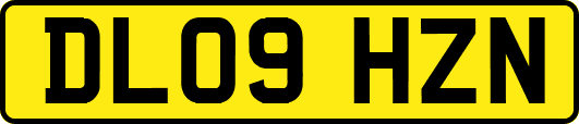 DL09HZN