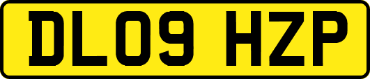 DL09HZP