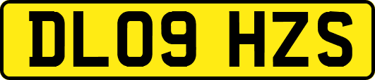 DL09HZS