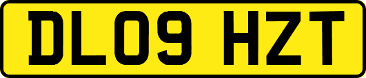 DL09HZT