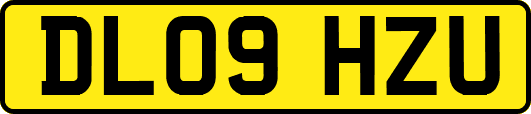 DL09HZU