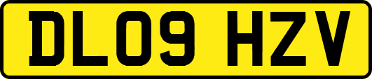 DL09HZV