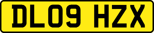 DL09HZX