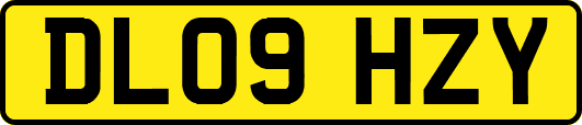 DL09HZY