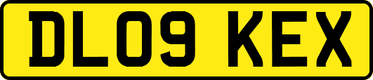 DL09KEX
