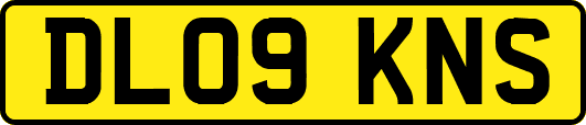DL09KNS