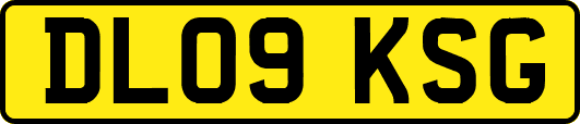 DL09KSG