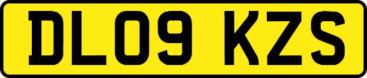 DL09KZS