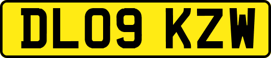 DL09KZW