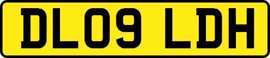 DL09LDH