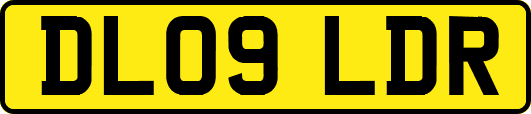 DL09LDR