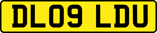 DL09LDU