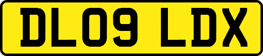 DL09LDX