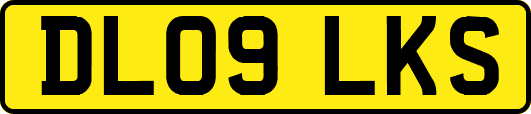 DL09LKS