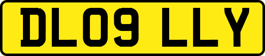 DL09LLY