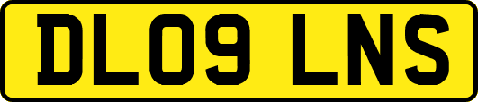 DL09LNS