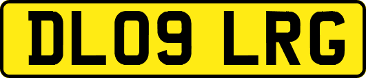 DL09LRG