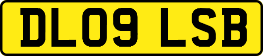 DL09LSB